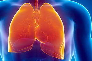 Опухоли органов дыхания и грудной клетки