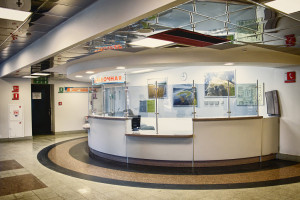 Новый год – новое направление